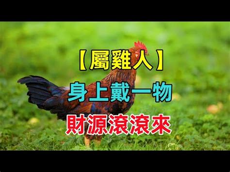 屬雞適合的名字